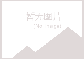 湛江霞山敷衍建设有限公司